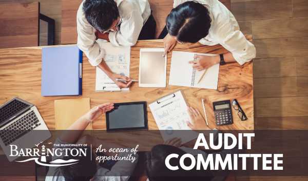 Audit Committee Vacancies