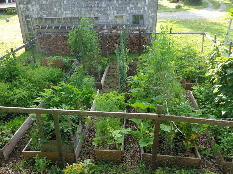 CIB Edible Contest Winner