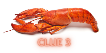 CLUE 11