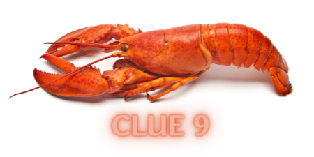CLUE 17