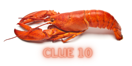 CLUE 18