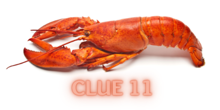 CLUE 19