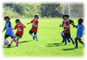 soccer program
