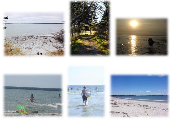 images of sandhills beach provincial park